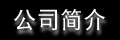 公司简介